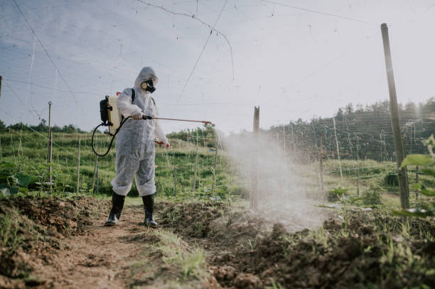 Reliable Boonville, NC Pest Control Solutions