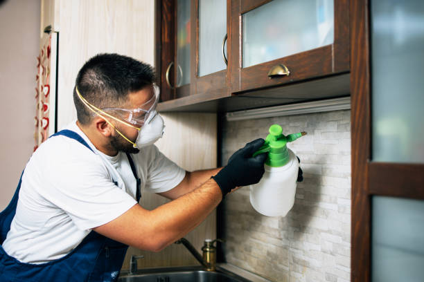 Best Cockroach Control Services  in Boonville, NC