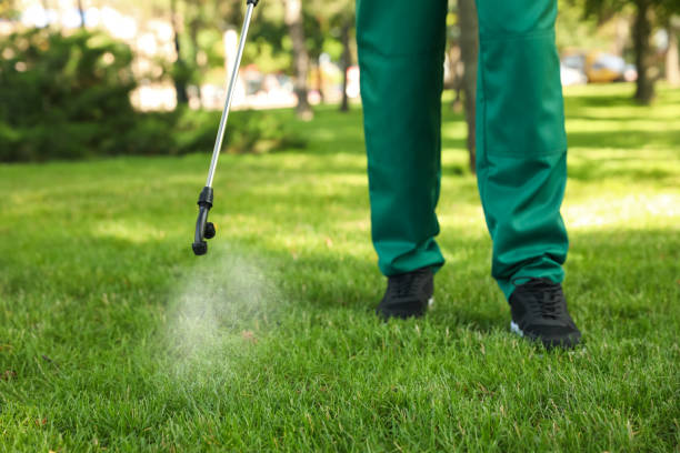 Best Wasp Removal Services  in Boonville, NC