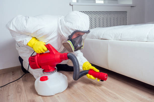 Best Emergency Pest Control  in Boonville, NC