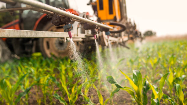 Best Ant Control Services  in Boonville, NC